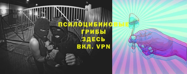 винт Алзамай