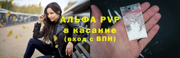 стафф Алексин