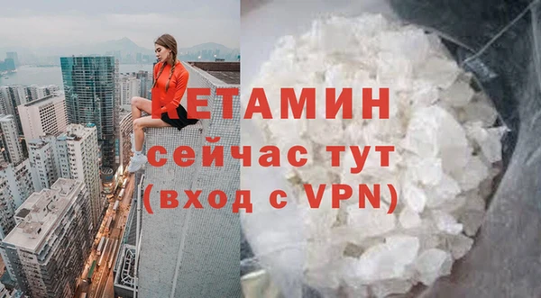 стафф Алексин