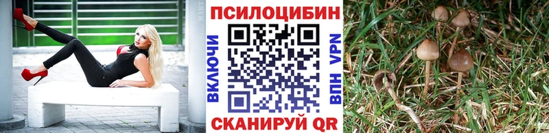 Псилоцибиновые грибы мухоморы Новосибирск