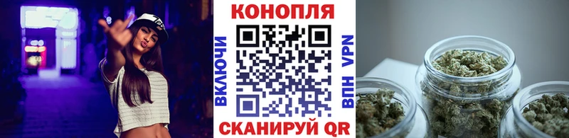 закладки  Новосибирск  мега маркетплейс  Бошки Шишки LSD WEED 